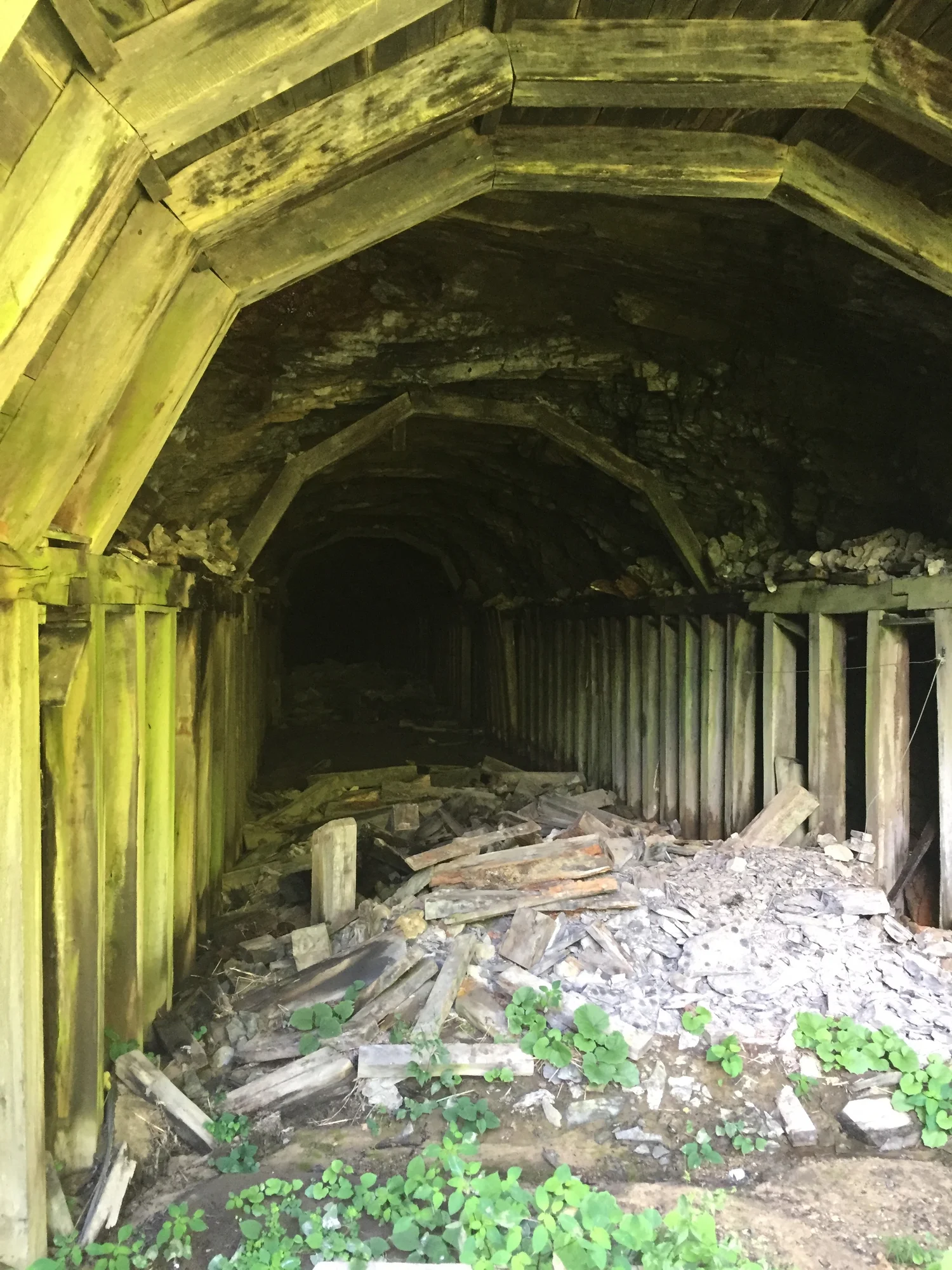 The Jenkins train tunnel